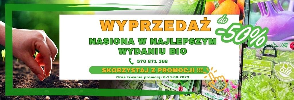 Wyprzedaż Bio nasion do -50%