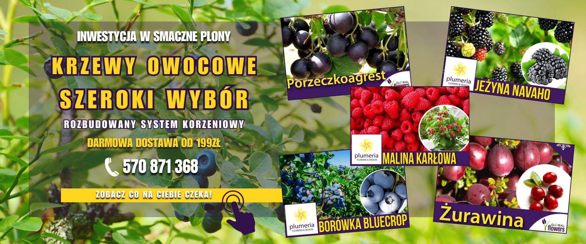 Rośliny owocowe 