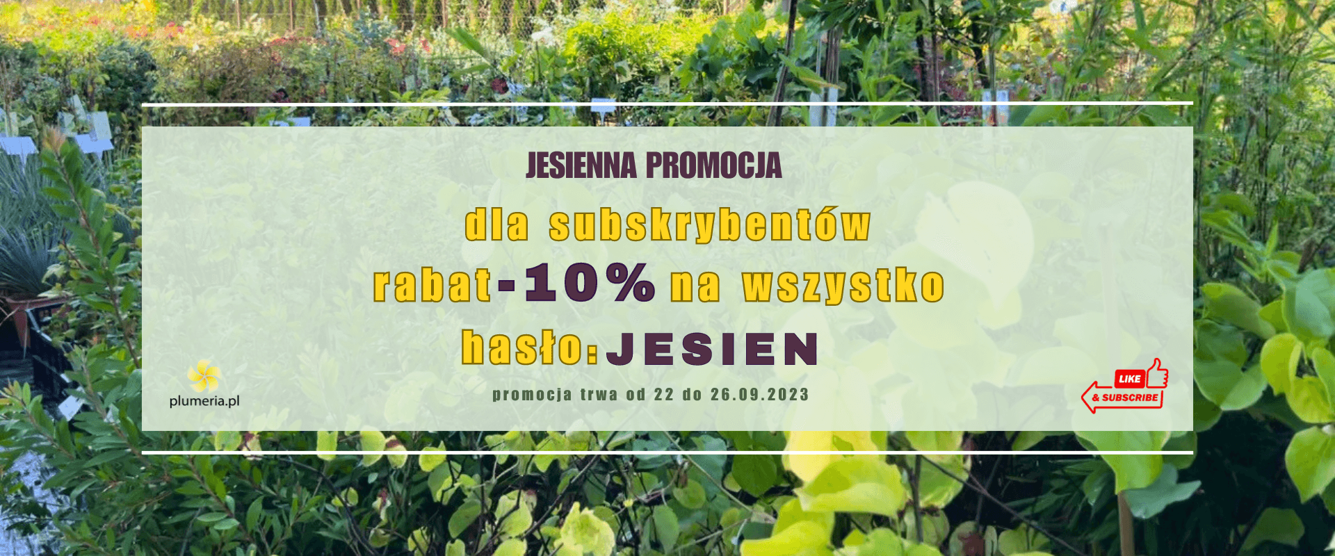 - 10% dla subskrybentów na jesień