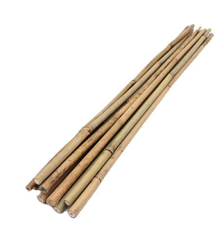 Tyczki bambusowe - podpory do roślin