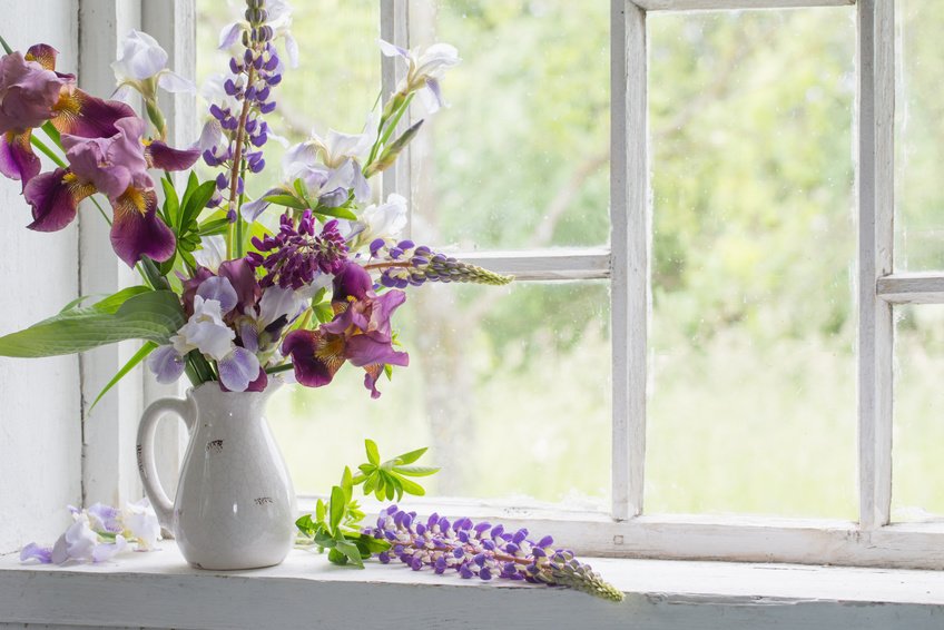 Twój ogródek może być świetnym źródłem pięknych kwiatów ku ozdobie okien