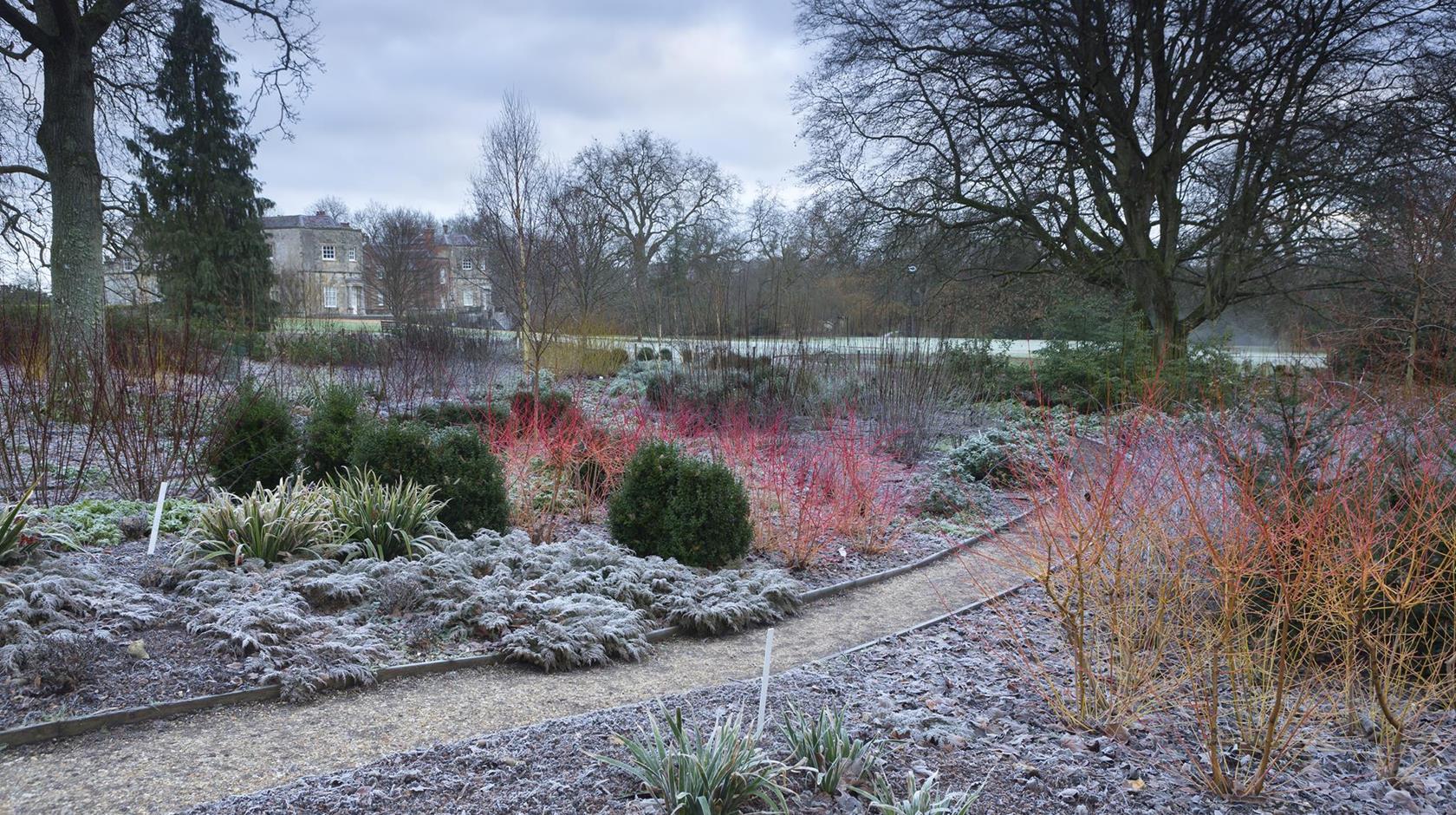 Piękny ogród na zimę - Blog - decoart24.pl