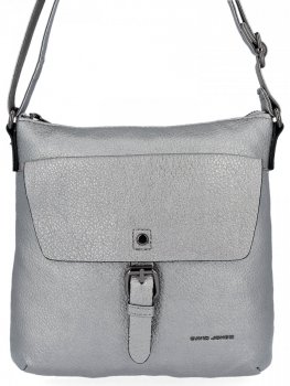 Modna Listonoszka Damska w Stylu Vintage David Jones 6706-2 Srebrna