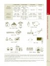 Discovering Polish. A Learner's Grammar 