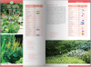 KATALOG BYLIN II Kwiaty, trawy i paprocie