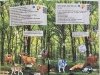 Kreatywny angielski dla dzieci z nagraniami MP3. Word games. Zabawa słówkami 1 