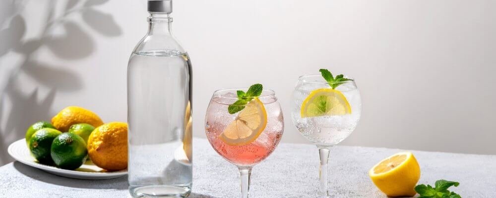 10 najbardziej znanych drinków z ginem. Czy wszystkie znasz? 10 najbardziej znanych drinków z ginem. Czy wszystkie znasz?