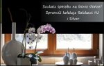 Tkaniny na upalne dni - którą wybrać i na co liczyć? Tkaniny na upalne dni - którą wybrać i na co liczyć?